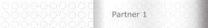 Partner 1